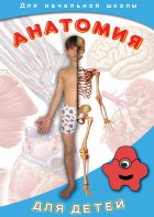 DVD "Анатомия для детей" - fgospostavki.ru - Верхняя Пышма