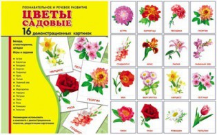 Демонстрационные карточки "Цветы садовые" - fgospostavki.ru - Верхняя Пышма