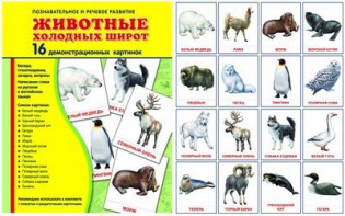 Демонстрационные карточки "Животные холодных широт" - fgospostavki.ru - Верхняя Пышма