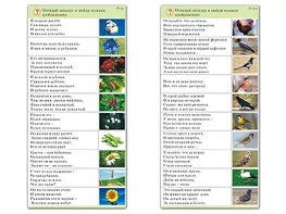 Комплект карточек (10) "Обучающий калейдоскоп. Природа" - fgospostavki.ru - Верхняя Пышма