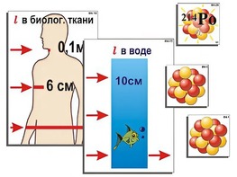 Модель-аппликация "Явление радиоактивности" (ламинированная) - fgospostavki.ru - Верхняя Пышма
