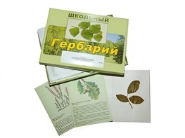 Гербарий "Дикорастущие растения" (30 видов, с иллюстрациями) - fgospostavki.ru - Верхняя Пышма