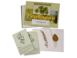 Гербарий "Лекарственные растения" (22 вида с иллюстрациями) - fgospostavki.ru - Верхняя Пышма