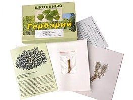 Гербарий "Водоросли. Грибы. Лишайники" (раздаточный) - fgospostavki.ru - Верхняя Пышма