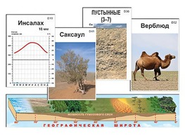 Модель-аппликация "Природные зоны" - fgospostavki.ru - Верхняя Пышма