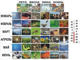 Фенологические наблюдения - fgospostavki.ru - Верхняя Пышма