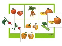 Логопедическое лото "Овощи" (4 планшета, 24 карточки, цветное, ламинированное) - fgospostavki.ru - Верхняя Пышма