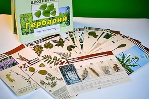 Гербарий к курсу основ общей биологии - fgospostavki.ru - Верхняя Пышма
