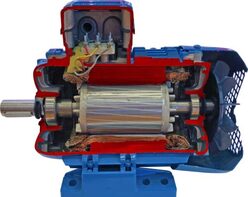 Учебная модель «Электродвигатель асинхронный в разрезе» - fgospostavki.ru - Верхняя Пышма