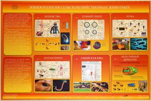 Электрифицированный стенд «Эпизоотология сельскохозяйственных животных» - fgospostavki.ru - Верхняя Пышма