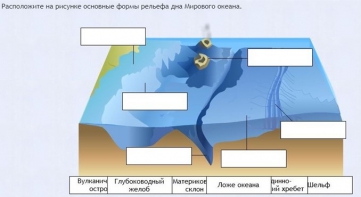 Интерактивные курсы. География 7 класс . Базовый. - fgospostavki.ru - Верхняя Пышма