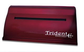Принтер для печати рельефно-точечным шрифтом Брайля Trident - fgospostavki.ru - Верхняя Пышма