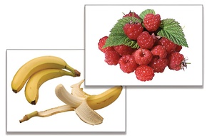 Дидактическое пособие "Фрукты, ягоды, орехи" (24 карточки) - fgospostavki.ru - Верхняя Пышма