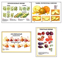 Плакаты ПРОФТЕХ "Ассортимент овощных культур" (12 пл, винил, 70х100) - fgospostavki.ru - Верхняя Пышма