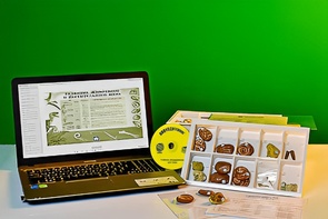 Коллекция натурально-интерактивная "Палеонтологическая" - fgospostavki.ru - Верхняя Пышма