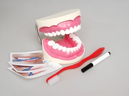 Игровой комплект "Чистим зубы" - fgospostavki.ru - Верхняя Пышма