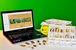 Коллекция натурально-интерактивная "Плоды сельскохозяйственных растений" - fgospostavki.ru - Верхняя Пышма