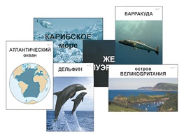 Модель-аппликация "Океаны. Знакомство" (ламинированная) - fgospostavki.ru - Верхняя Пышма