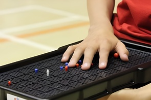 Сетка для игры тактильная (Бочча) - fgospostavki.ru - Верхняя Пышма