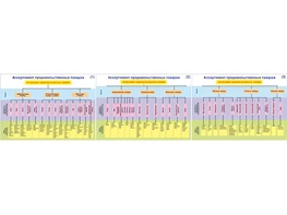 Плакаты ПРОФТЕХ "Ассортимент продовольственных товаров" (3 пл, винил, 70х100) - fgospostavki.ru - Верхняя Пышма