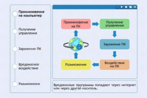 Интерактивные курсы. Информатика 10 класс . Базовый. - fgospostavki.ru - Верхняя Пышма