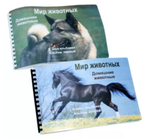 Пособие для слабовидящих - Домашние животные - fgospostavki.ru - Верхняя Пышма