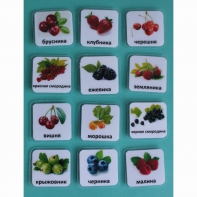 Набор карточек "Ягоды" - fgospostavki.ru - Верхняя Пышма