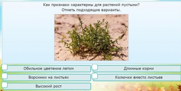 Интерактивные курсы. Окружающий мир 3 класс . Базовый. - fgospostavki.ru - Верхняя Пышма