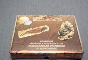 Коллекция "Формы сохранности ископаемых растений и животных" - fgospostavki.ru - Верхняя Пышма