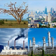 Модель-аппликация Биосфера и человек - fgospostavki.ru - Верхняя Пышма