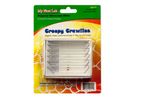 Набор микропрепаратов для микроскопа №2 «Насекомые» - fgospostavki.ru - Верхняя Пышма