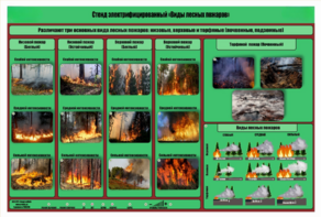 Стенд-планшет электрифицированный «Виды лесных пожаров»  - fgospostavki.ru - Верхняя Пышма