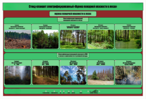 Стенд-планшет электрифицированный «Оценка пожарной опасности в лесах»  - fgospostavki.ru - Верхняя Пышма