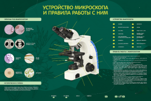 Электрифицированный стенд "Устройство микроскопа и правила работы c ним" - fgospostavki.ru - Верхняя Пышма