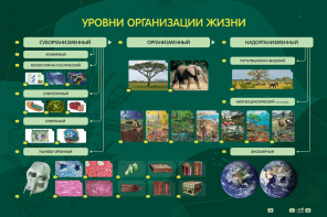 Электрифицированный стенд "Уровни организации жизни" - fgospostavki.ru - Верхняя Пышма