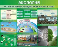 Стенд "Экология. Антропогенное воздействие на биосферу" - fgospostavki.ru - Верхняя Пышма