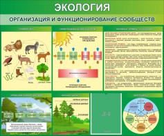 Стенд "Экология. Организация и функционирование сообществ" - fgospostavki.ru - Верхняя Пышма