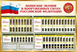 Стенд "Воинские звания в вооруженных силах РФ" - fgospostavki.ru - Верхняя Пышма