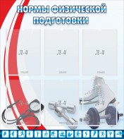 Стенд "Нормы физической подготовки" Вариант 2 - fgospostavki.ru - Верхняя Пышма