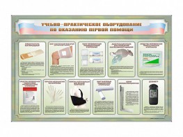 Стенды "Учебно-практическое оборудование по оказанию первой помощи" - fgospostavki.ru - Верхняя Пышма