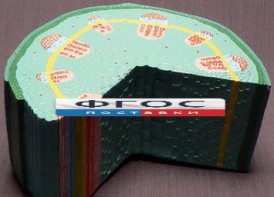 Модель "Стебель растения" - fgospostavki.ru - Верхняя Пышма