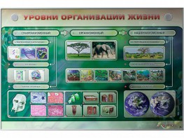 Электрифицированный стенд "Уровни организации жизни" - fgospostavki.ru - Верхняя Пышма