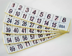 Фишки для игры «Бинго» со шрифтом Брайля - fgospostavki.ru - Верхняя Пышма