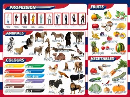 Стенд "Цвета, животные, профессии, фрукты, овощи" - fgospostavki.ru - Верхняя Пышма