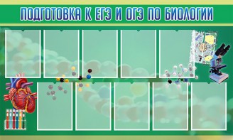 Стенд "Подготовка к ЕГЭ и ОГЭ по биологии" Вариант 2 - fgospostavki.ru - Верхняя Пышма