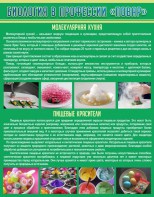 Стенд "Биология в профессии "повар"" - fgospostavki.ru - Верхняя Пышма
