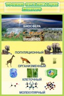 Стенд "Уровни организации живого" - fgospostavki.ru - Верхняя Пышма