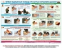 Комплект плакатов "Оказание первой доврачебной медицинской помощи" - fgospostavki.ru - Верхняя Пышма
