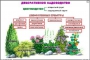 Комплект кодотранспарантов "Культурные растения" - fgospostavki.ru - Верхняя Пышма