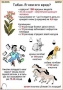 Комплект кодотранспарантов "Ядовитые растения" - fgospostavki.ru - Верхняя Пышма